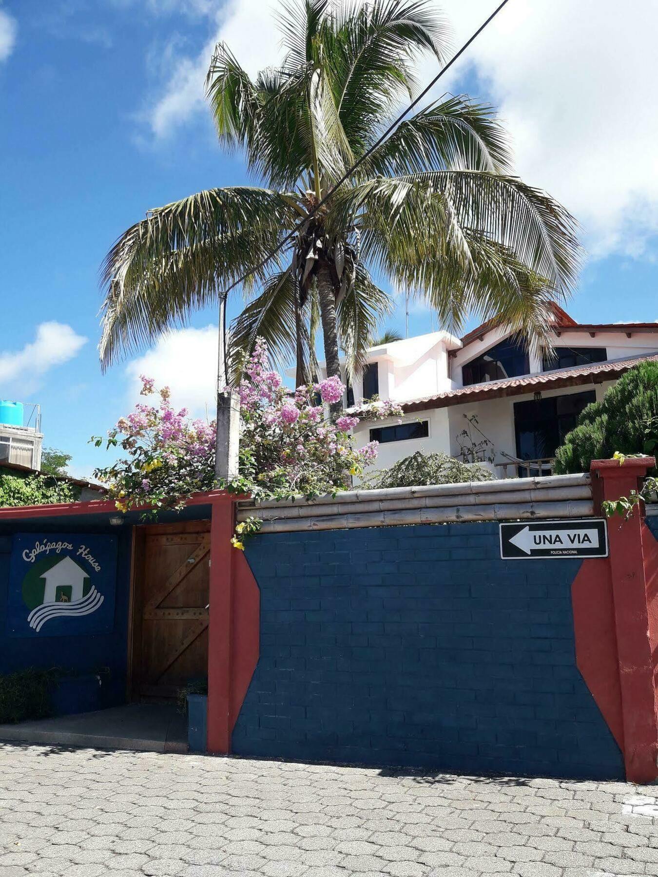 Galapagos House Hostel Puerto Ayora  Exterior foto